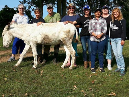 Animal Reiki class at Froghollow Sanctuary